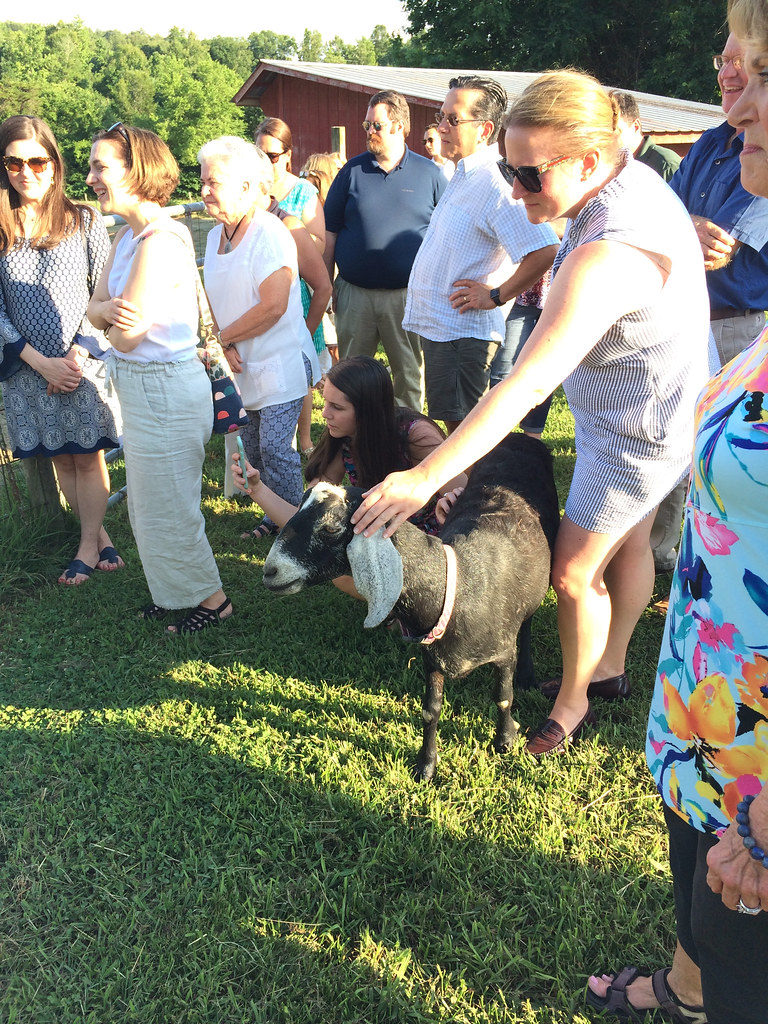 Farm Tour at Goat Lady Dairy