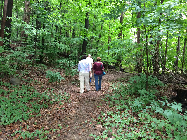 Tour through the woods at Johnson Estate