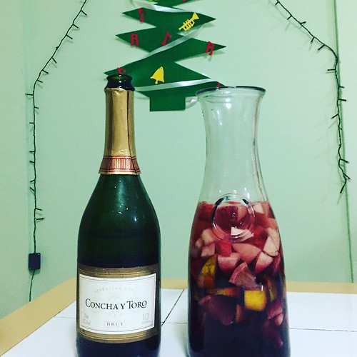 Concha y Toro with Sangria (1)