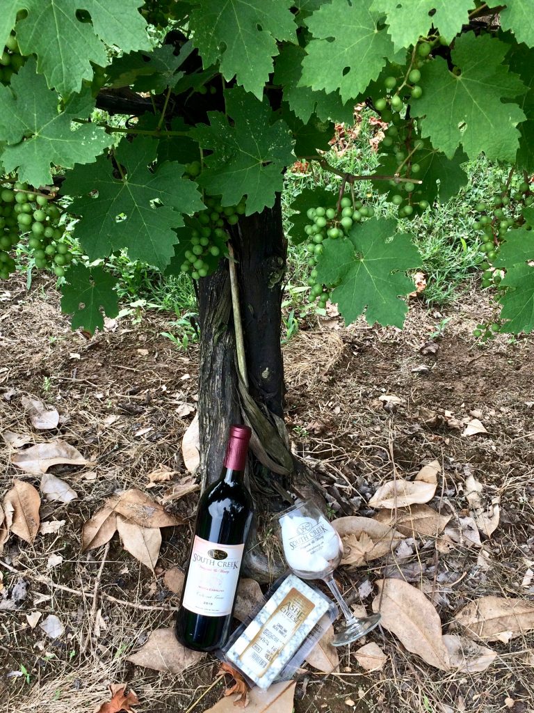 Cabernet Franc and Carolina Bleu Marble at South Creek Vineyard, Nebo, NC