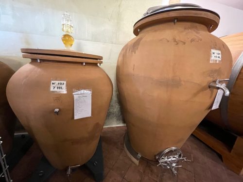 the clay amphoras