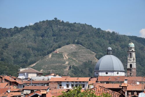 vineyard views from the rooftop