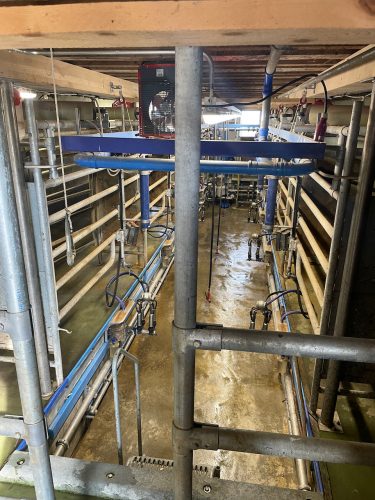 the fancy milking room at the dairy farm